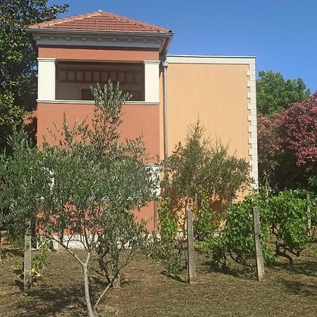 Apartments Rolovina Tivat Eksteriør billede