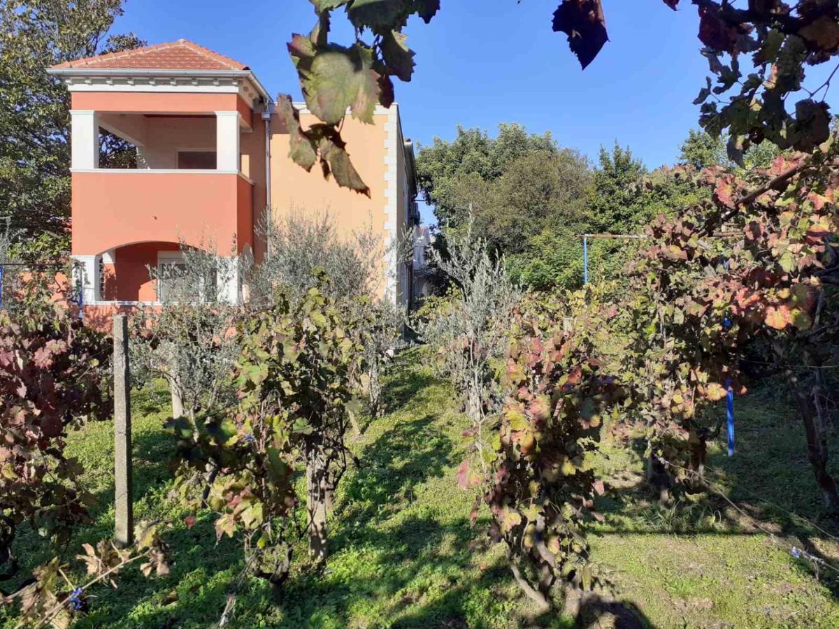 Apartments Rolovina Tivat Eksteriør billede