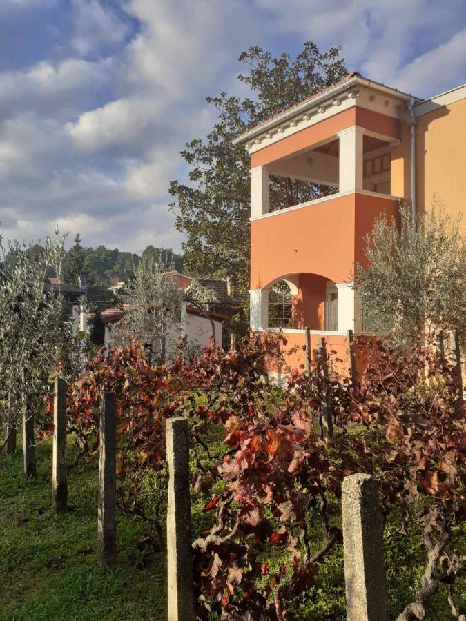 Apartments Rolovina Tivat Eksteriør billede
