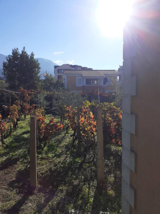 Apartments Rolovina Tivat Eksteriør billede