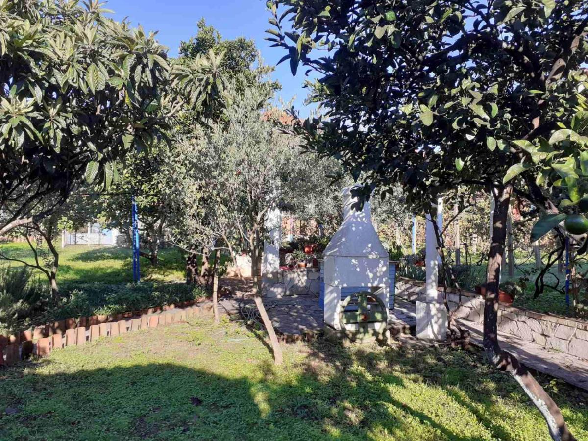 Apartments Rolovina Tivat Eksteriør billede