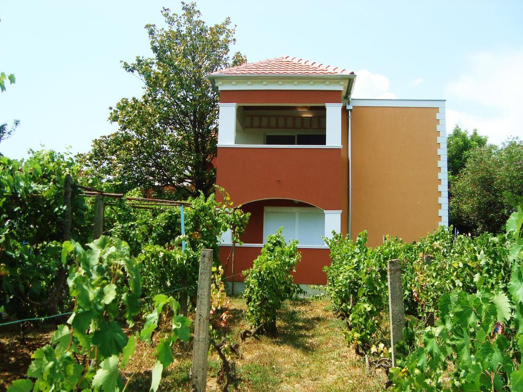 Apartments Rolovina Tivat Værelse billede