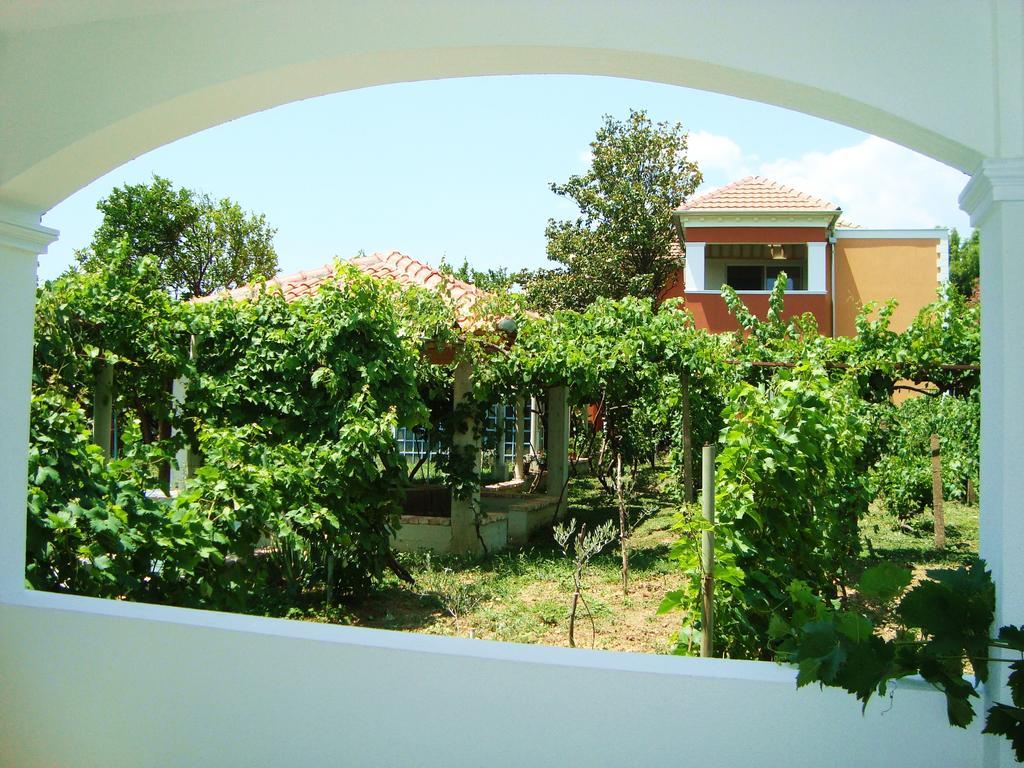 Apartments Rolovina Tivat Værelse billede