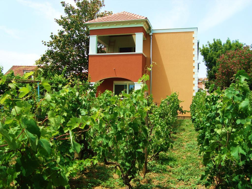 Apartments Rolovina Tivat Værelse billede