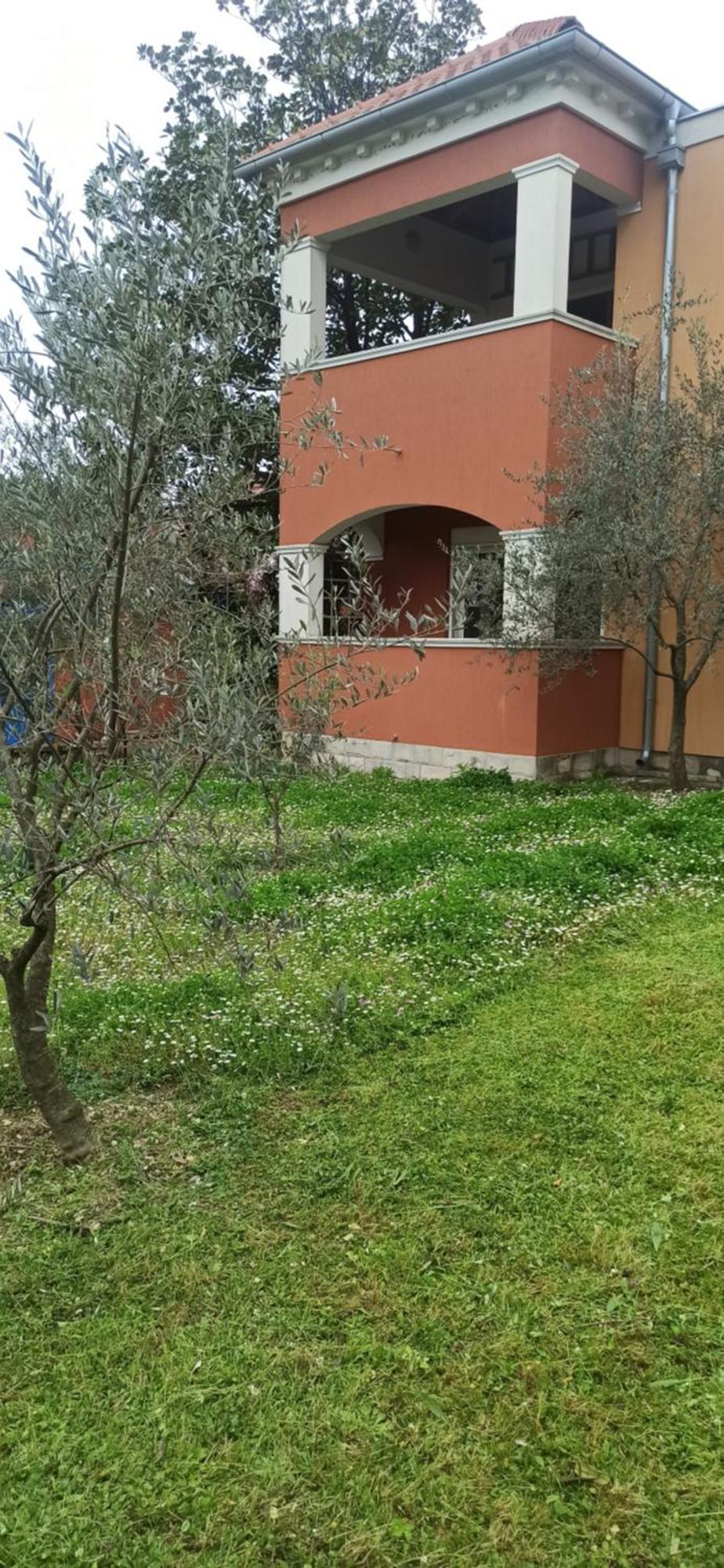 Apartments Rolovina Tivat Værelse billede