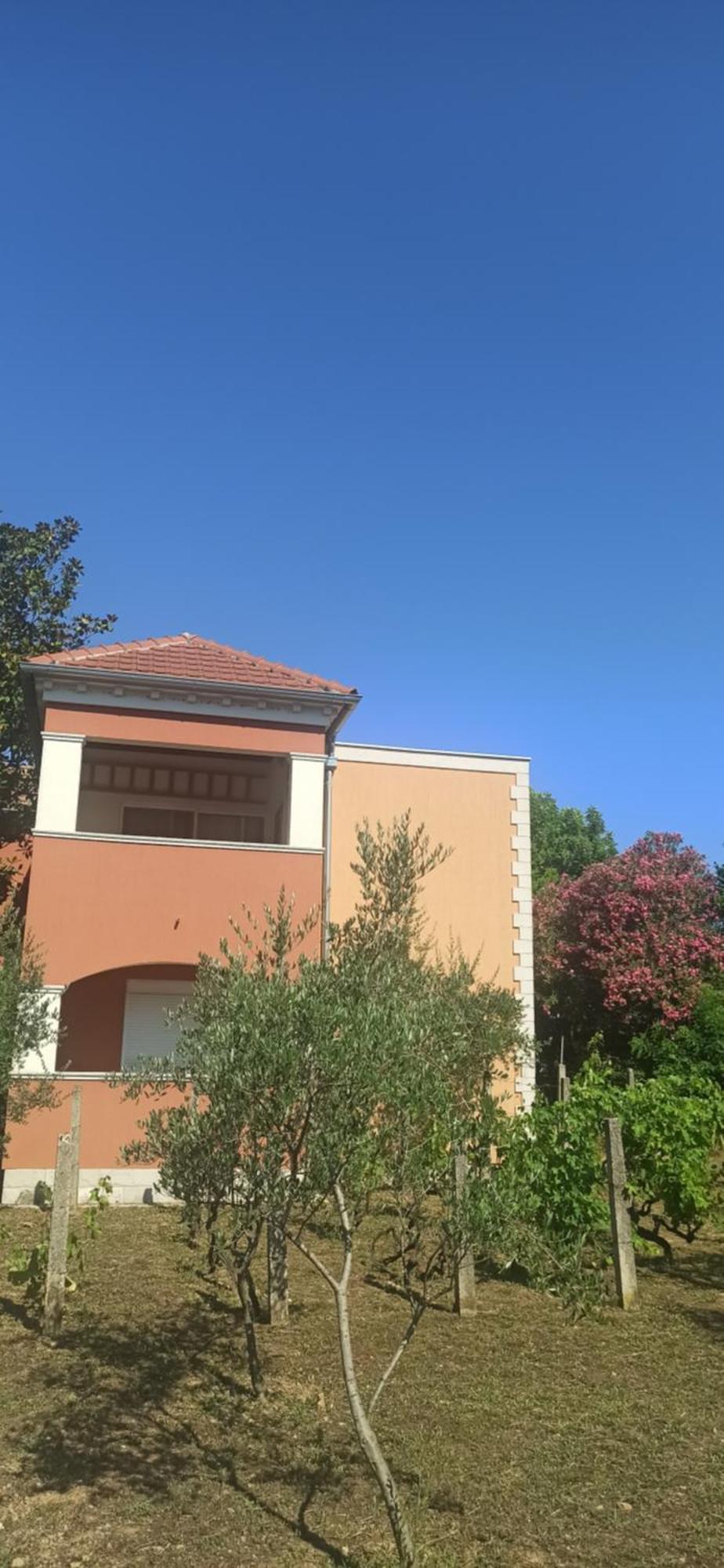 Apartments Rolovina Tivat Værelse billede